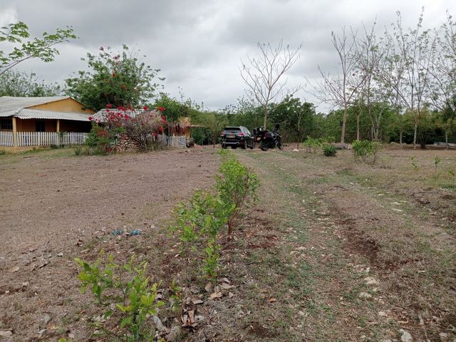 place photo 23