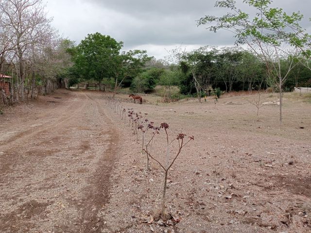 place photo 12