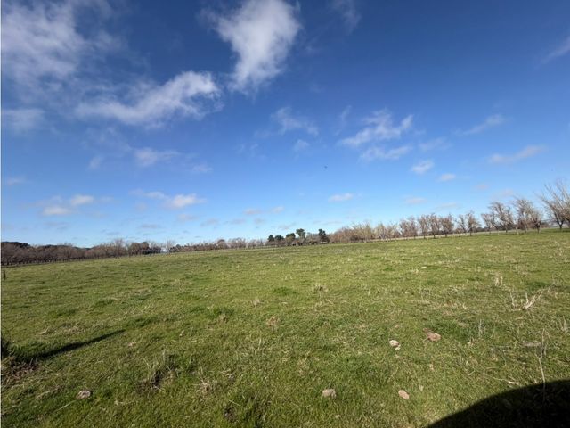 place photo 24