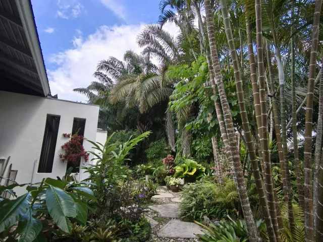 place photo 38