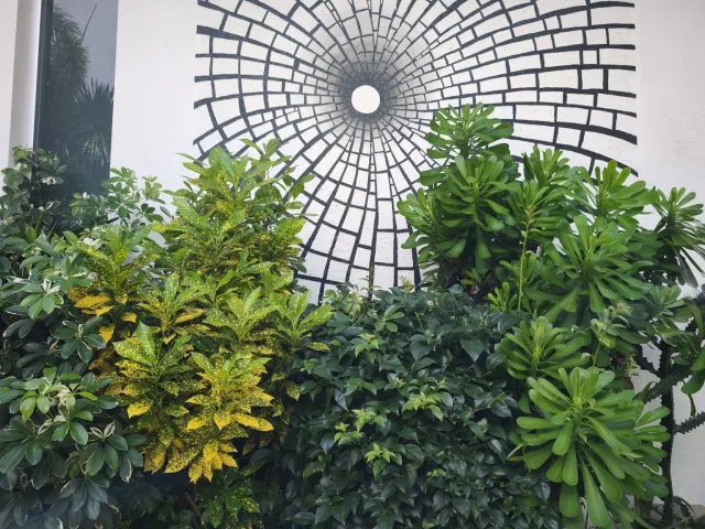 place photo 46