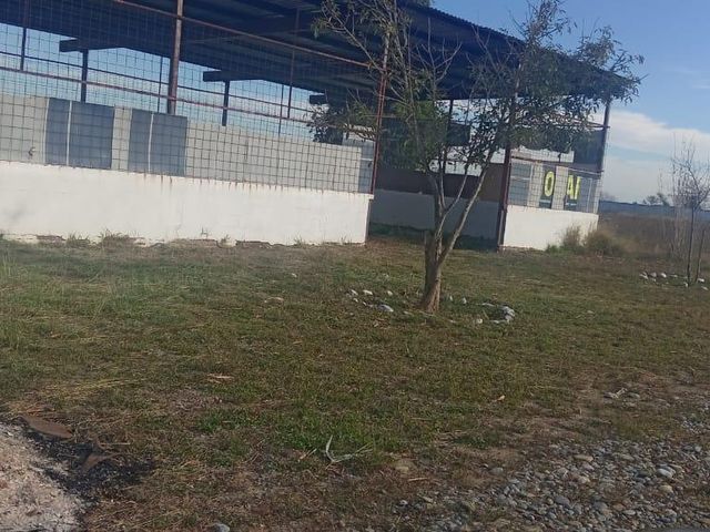 place photo 13