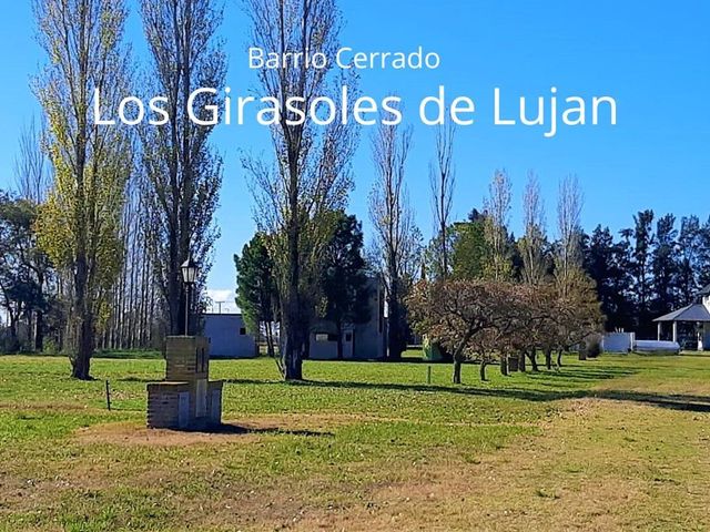 place photo 55