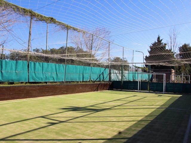place photo 41