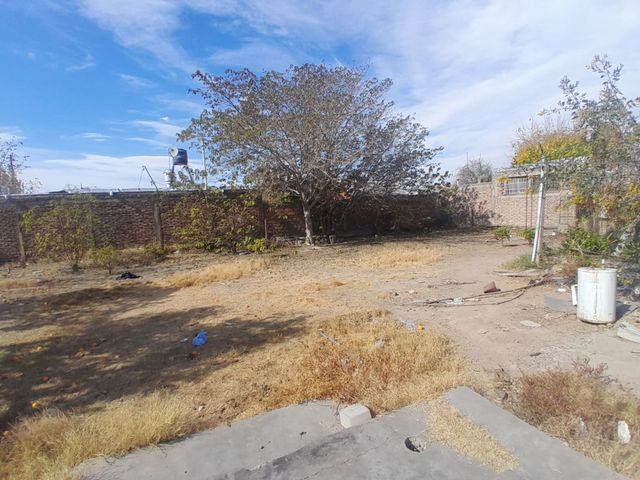 place photo 9