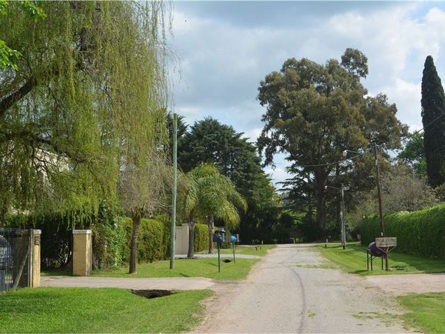 place photo 27