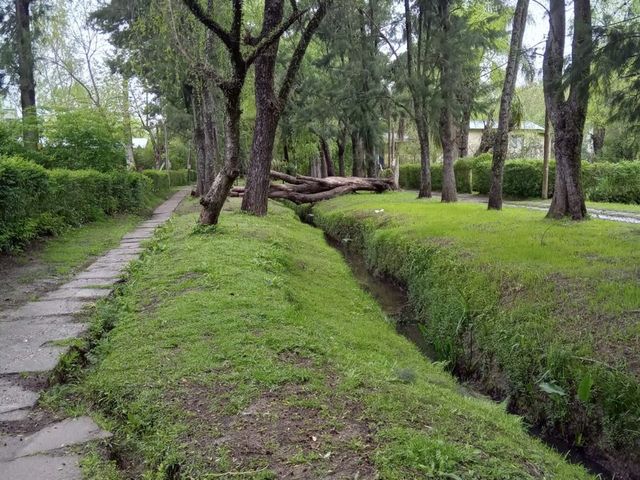 place photo 50
