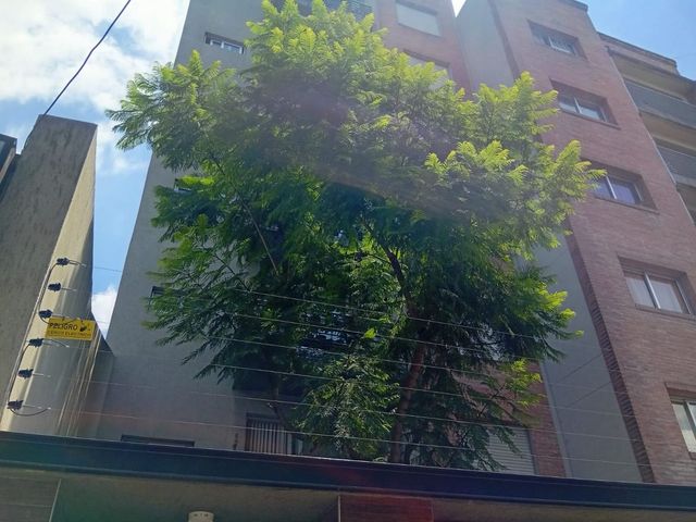 place photo 40