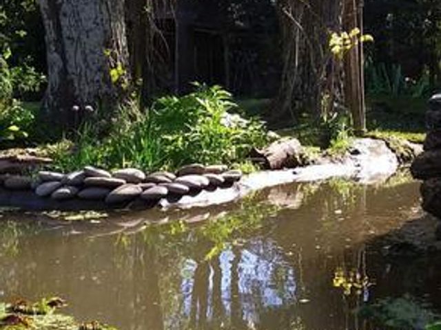 place photo 42