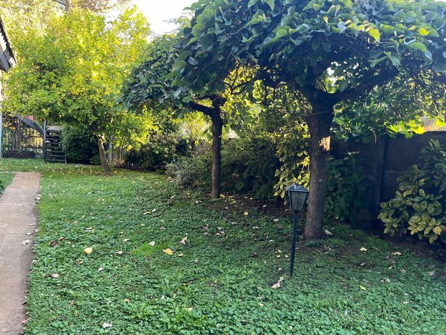 place photo 61