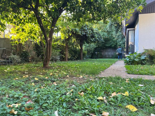place photo 66