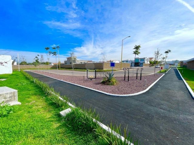 place photo 54