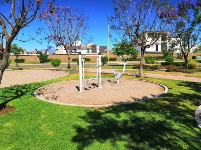 place photo 55