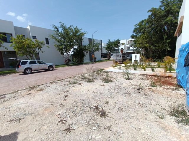 place photo 26