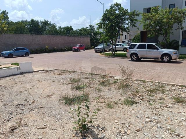 place photo 27