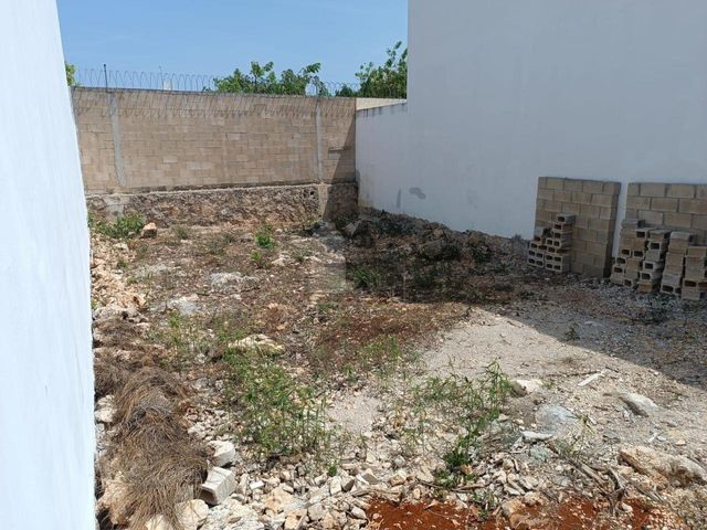 place photo 31