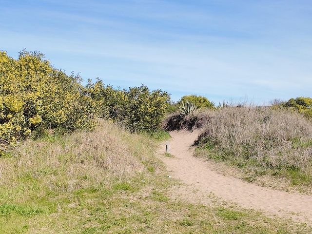 place photo 41