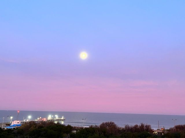 place photo 44