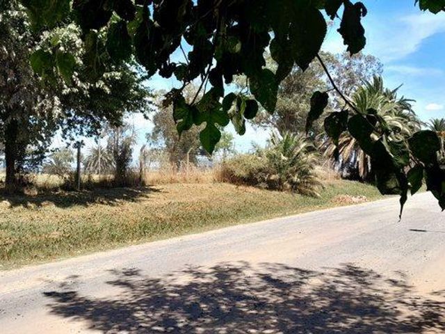 place photo 15