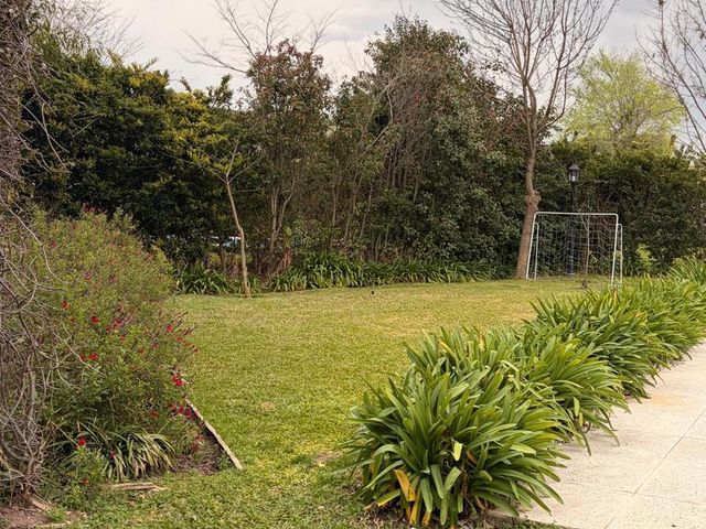 place photo 37