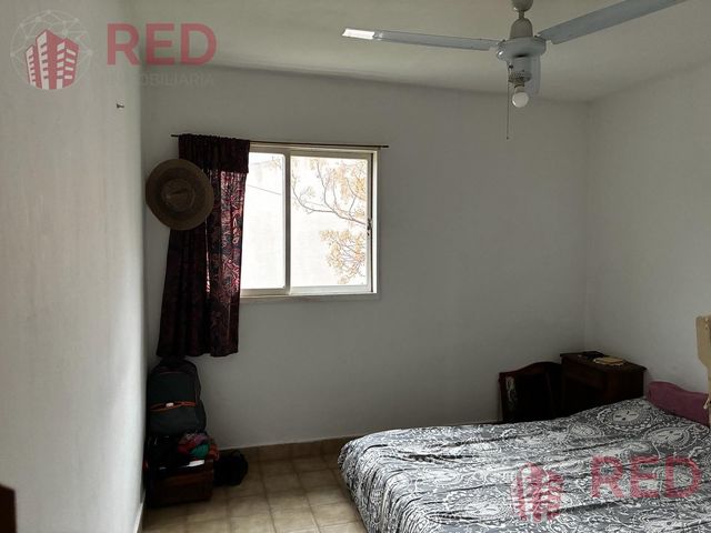 place photo 66