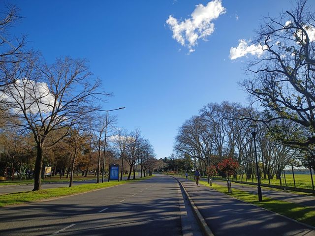 place photo 28