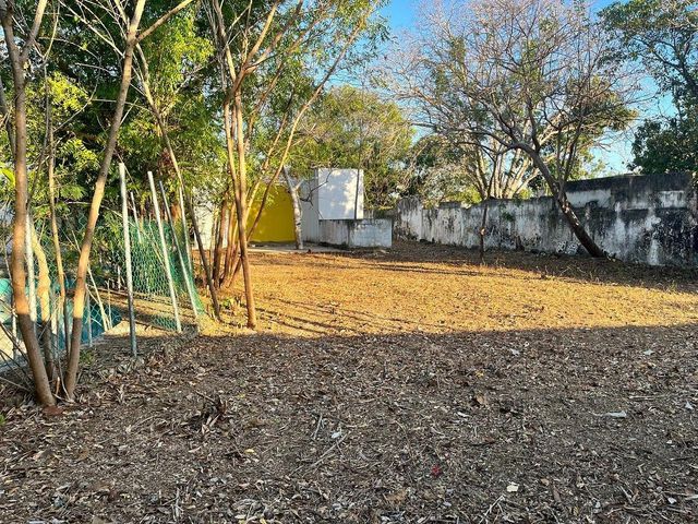 place photo 15