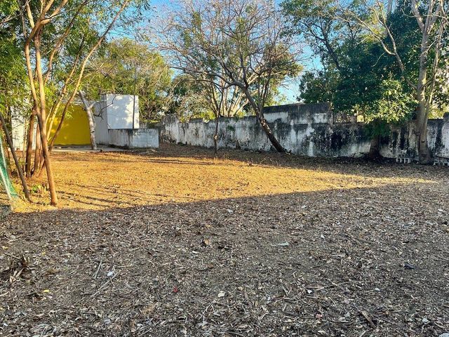 place photo 16