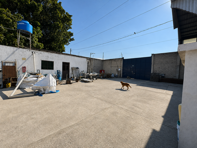 place photo 10