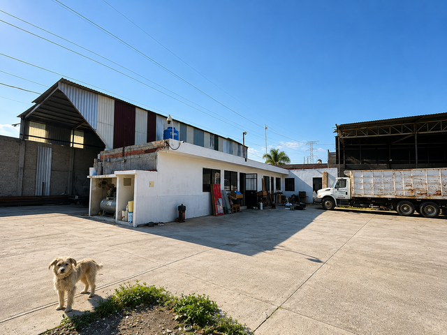 place photo 19