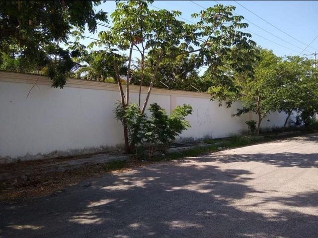 place photo 38