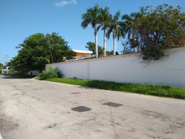place photo 37