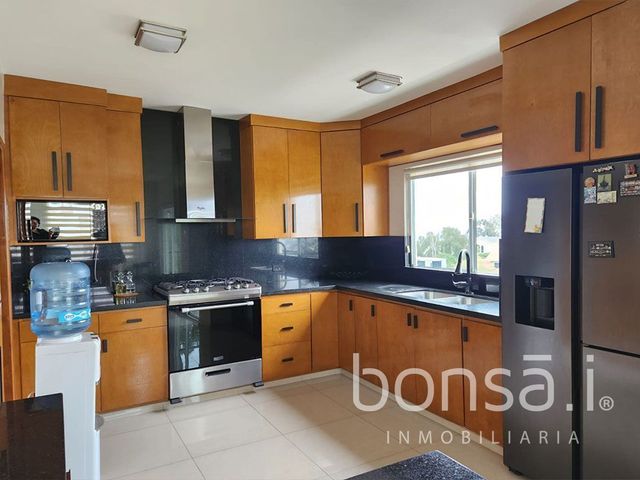 place photo 48