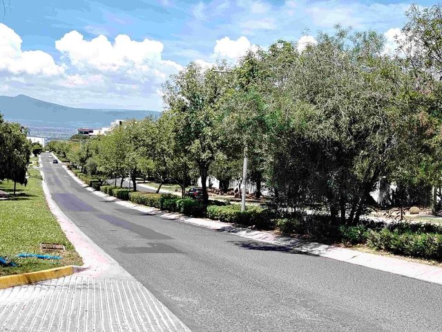 place photo 47