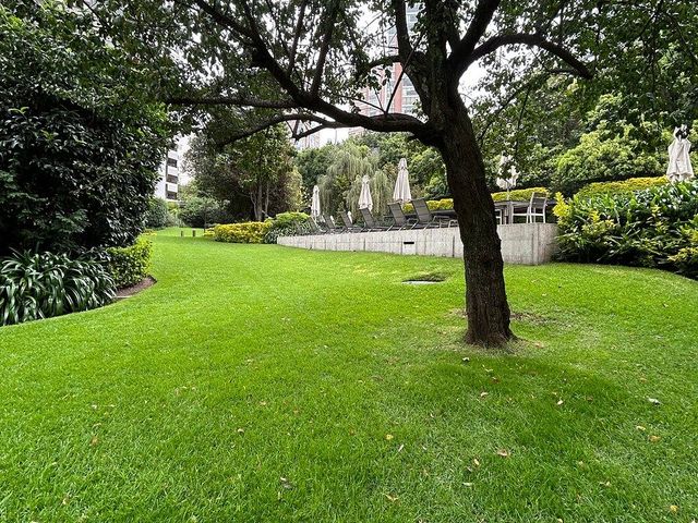 place photo 38
