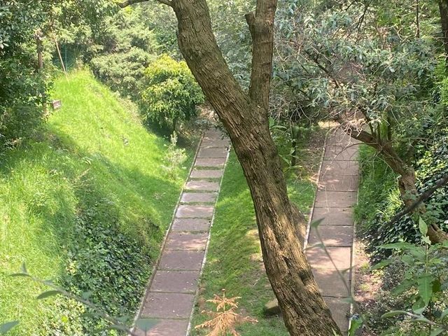 place photo 48
