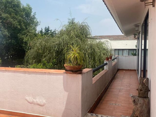 place photo 40