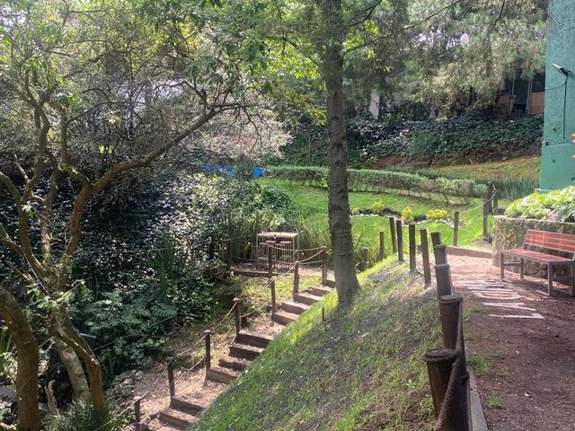 place photo 49
