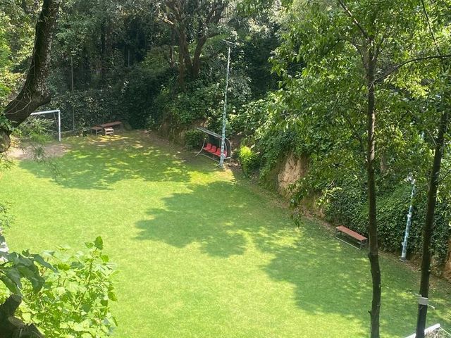 place photo 46