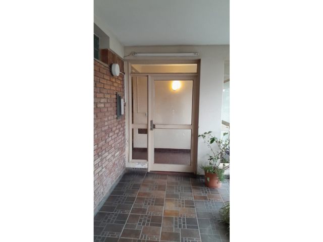 place photo 15