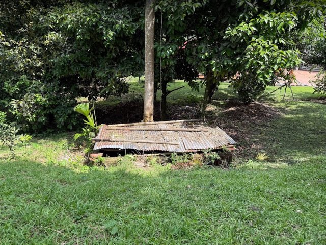 place photo 14