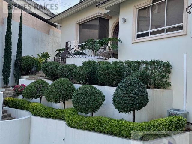 place photo 65