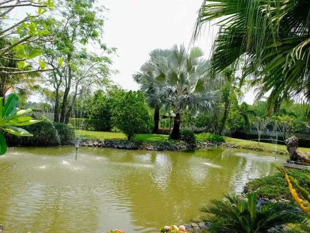 place photo 23