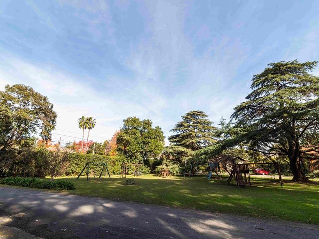 place photo 82