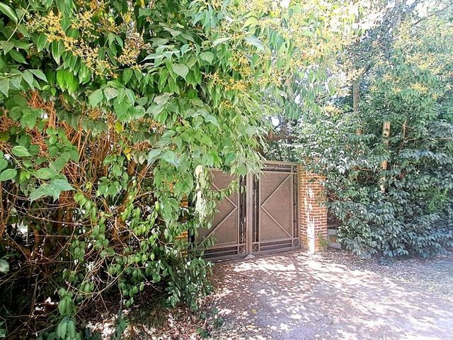 place photo 33