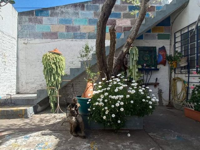 place photo 32
