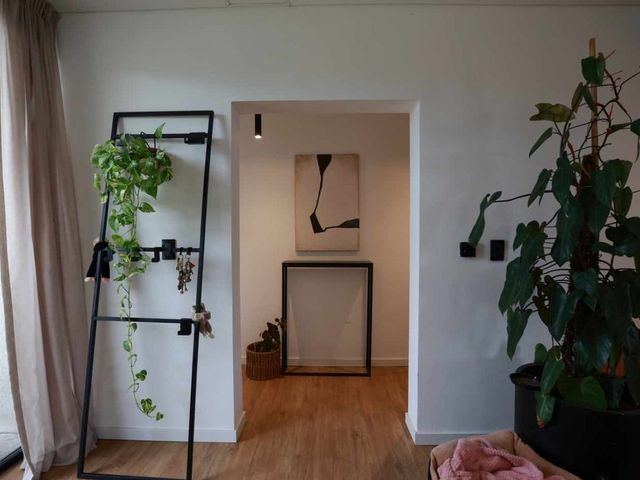place photo 36