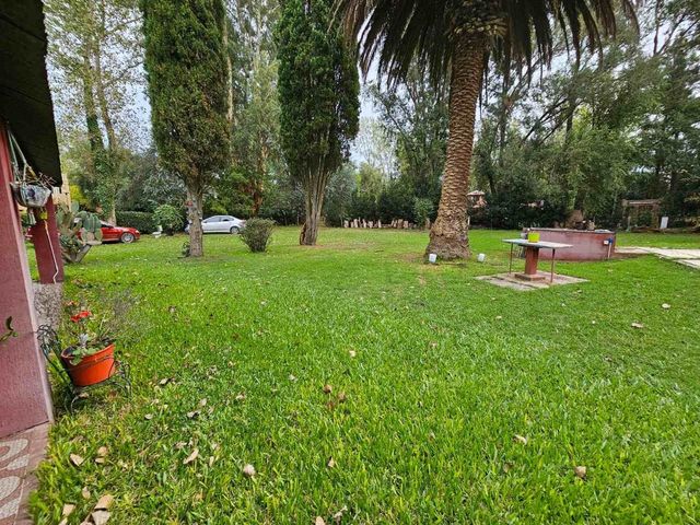 place photo 55