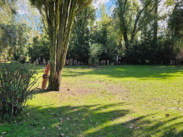 place photo 64