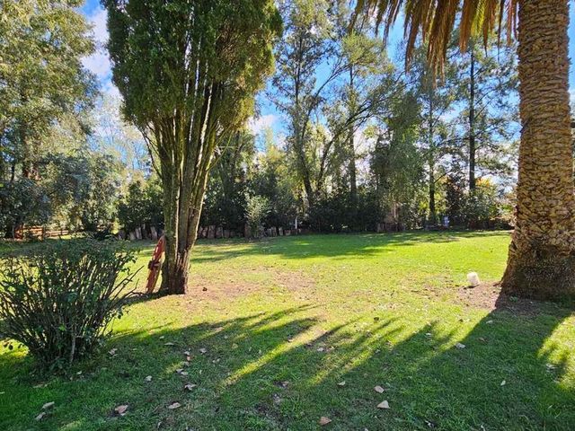 place photo 63